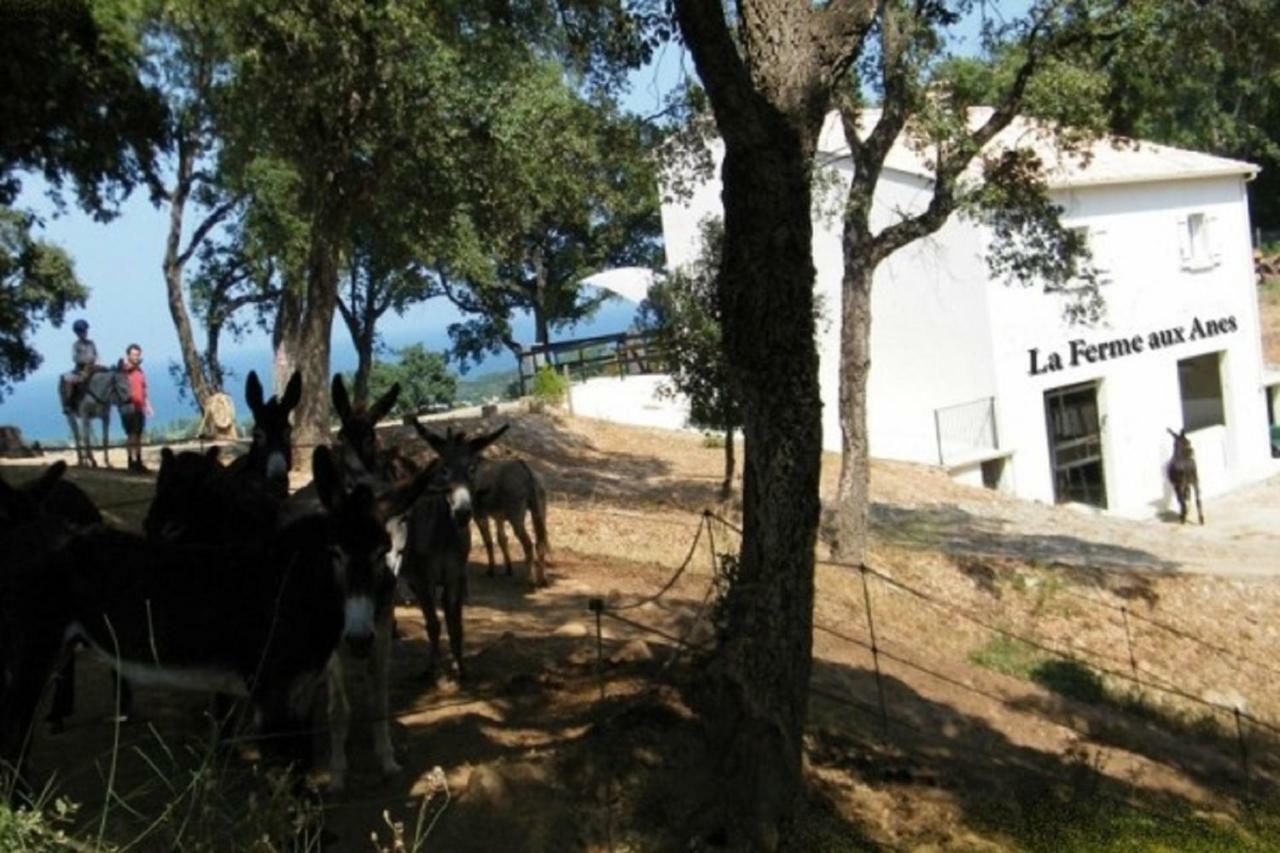 Residence Emilia Santa-Maria-Poggio  Exteriér fotografie
